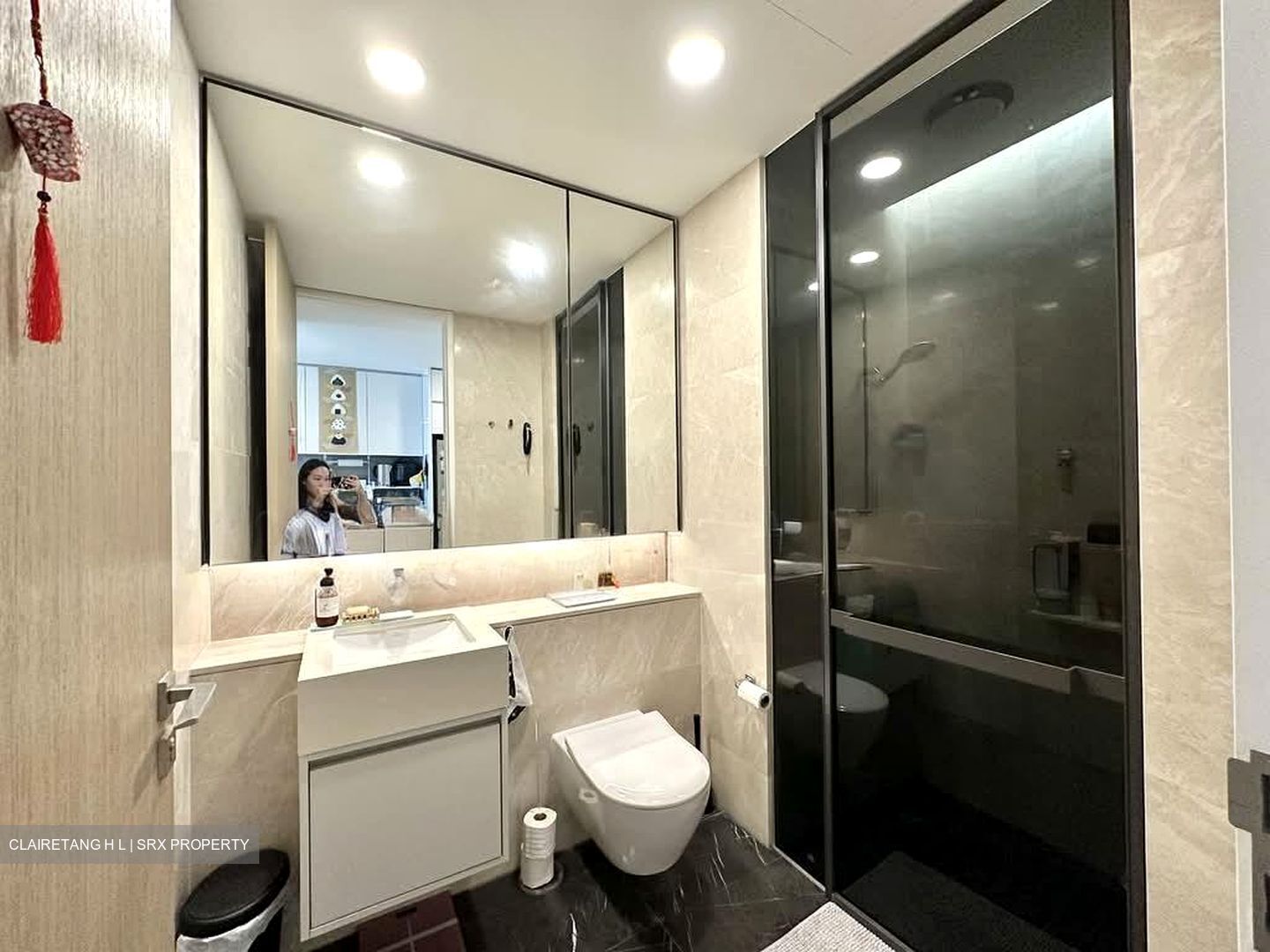 Amber Park (D15), Condominium #559206461